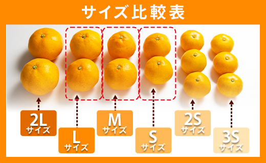 訳あり 山北みかん ご家庭用 約10kg（80～120個程度） 山北みらい - 果物 フルーツ 柑橘類 温州みかん ミカン 蜜柑 甘い おいしい 美味しい 高知県 香南市 yk-0059