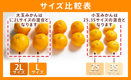 山北みかん 大玉サイズ L・2L混合 約5kg（30～40個程度） 山北みらい - 果物 フルーツ 柑橘類 温州みかん ミカン 蜜柑 甘い おいしい 美味しい 高知県 香南市 yk-0061