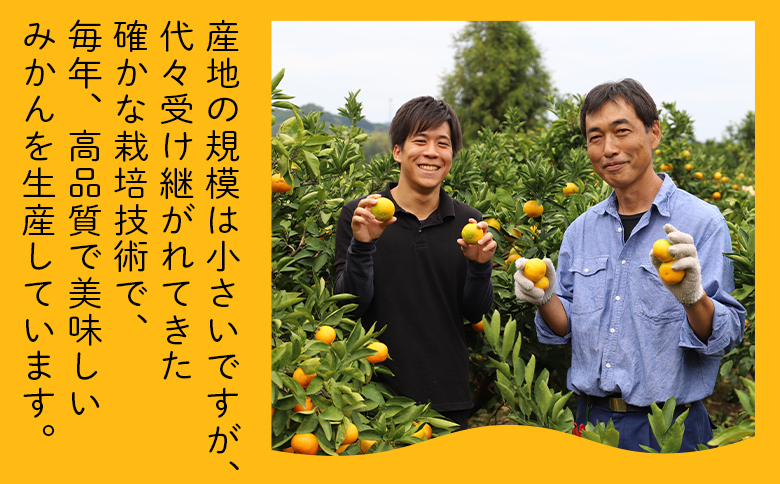 山北ポンカン 家庭用 3kg(約18～30個程度) - 果物 フルーツ 柑橘類 ぽんかん ミカン 蜜柑 訳アリ わけあり 生産者応援 甘い おいしい 美味しい 山北みらい 高知県 香南市 yk-0068