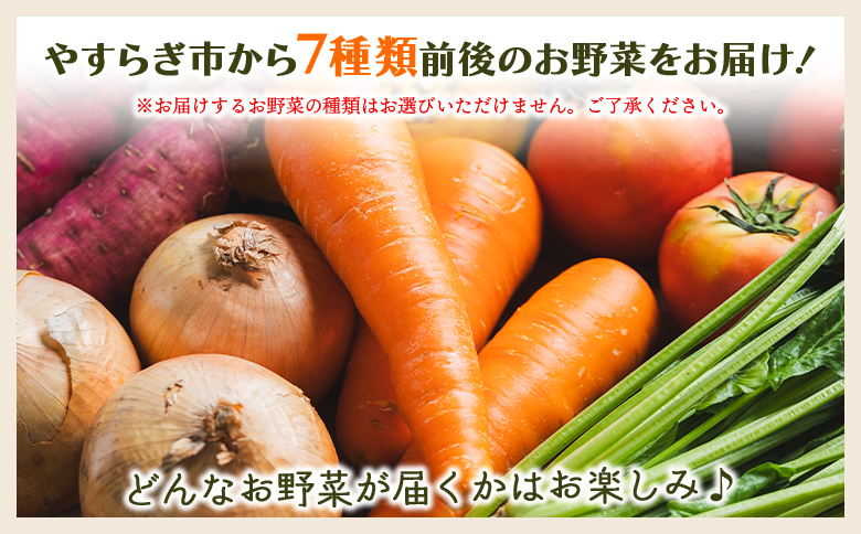 やすらぎ市 産地直送やさいＢＯＸ（7種類前後） yr-0033