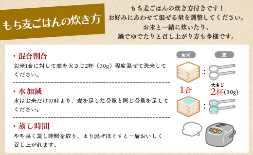 もち麦（ダイシモチ） 合計2.7kg - 国産 穀物 雑穀 大麦 2.7キロ 900g入り×3袋 おにぎり もっちり 食感 もちむぎ ヘルシー 混ぜる まぜるだけ 炊く 米 ごはん yr-0065