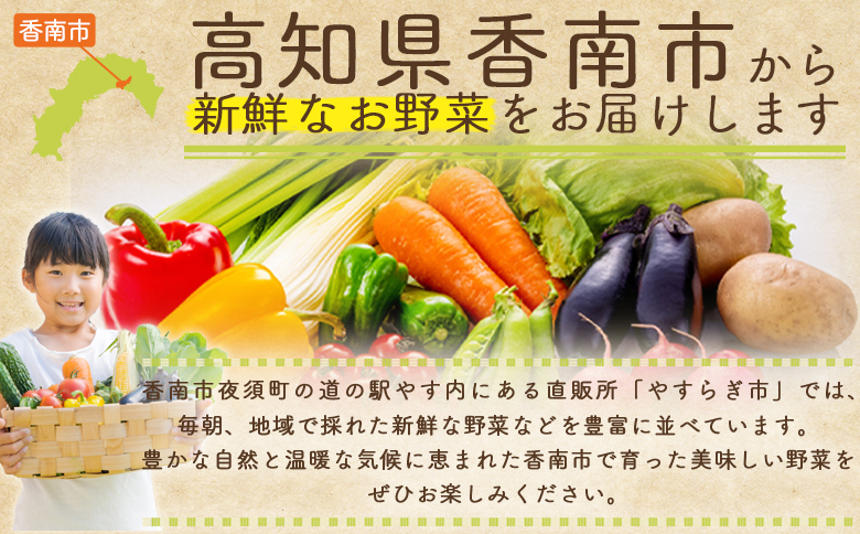 【令和8年6月中旬発送開始】 30本 家庭用 yr-0078