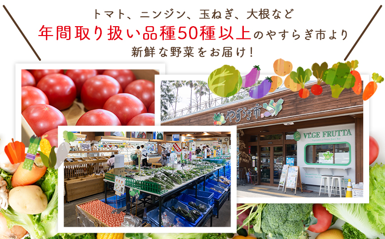 【2026年３月以降順次発送】新玉ねぎ 10kg 家庭用 yr-0080