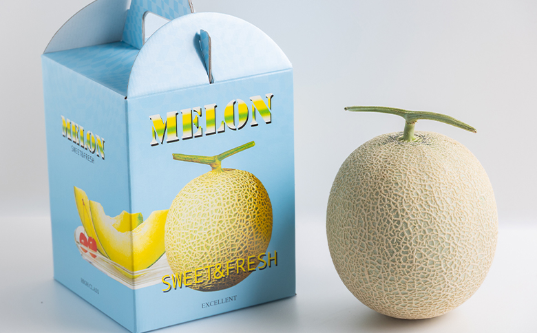 【令和8年3月発送開始】マスクメロン １玉 家庭用 yr-0088