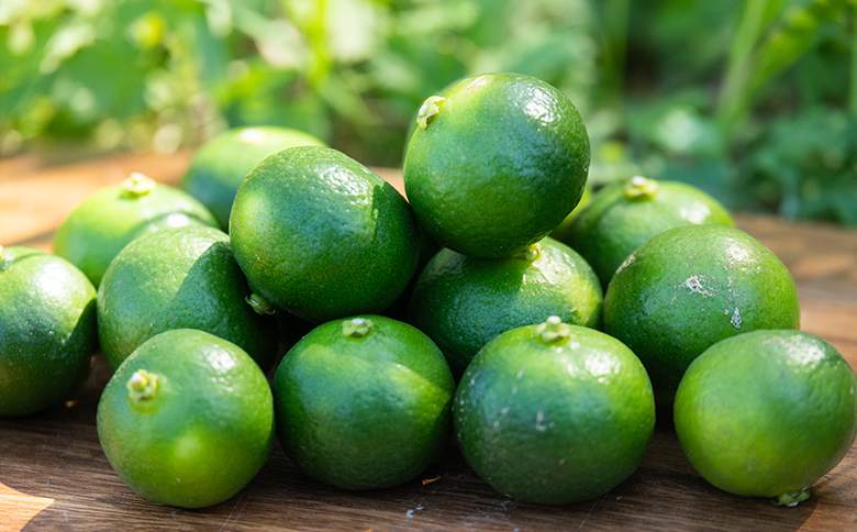 さわやかな香り漂うシークワーサー 3kg yr-0108