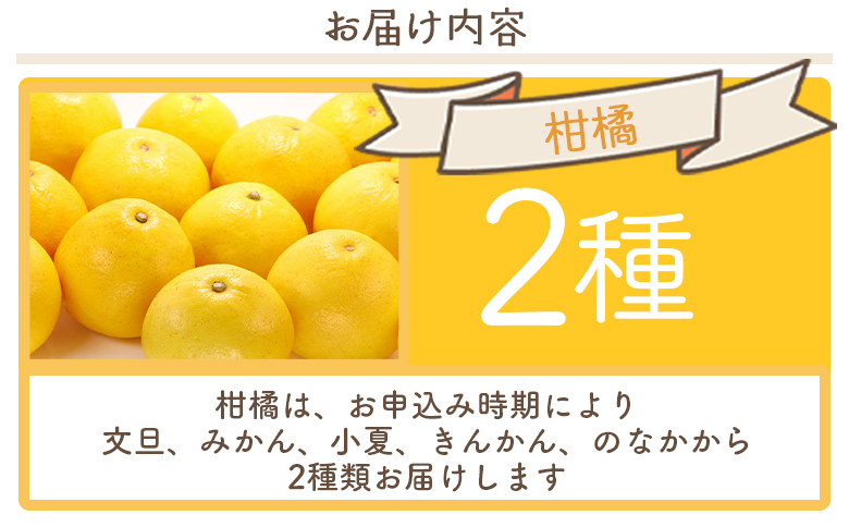 マスクメロン&柑橘2種セット yr-0111