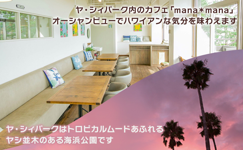 手作りアイスキャンディー ヤ・シィフルーツ ６本セット ys-0018