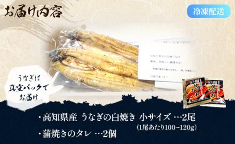 吉川水産 高知県産うなぎの白焼き 小サイズ(100～120g)×2尾 タレ付き yw-0043 2尾 100～120g