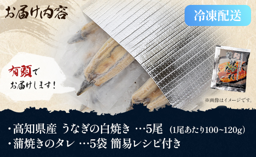 【限定100個】高知県産うなぎの白焼き 100ｇ～120ｇ×5尾 yw-0085 5尾 100～120g