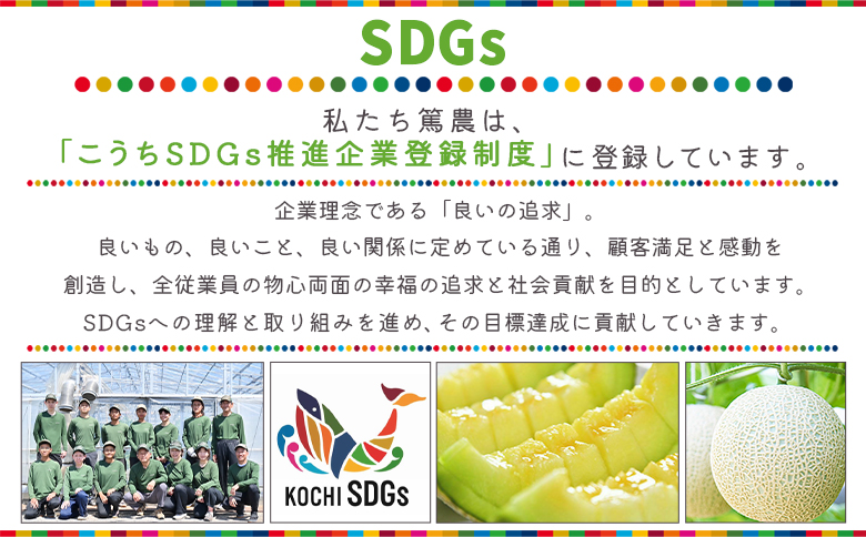 【2回定期便】完熟マスクメロンピューレ 120g×6袋 Wtn-0030