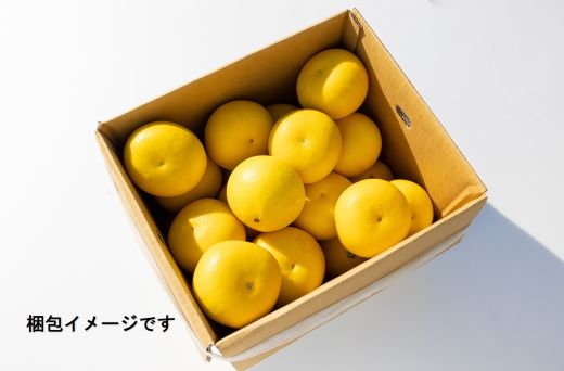 お裾分けもできる大容量の10ｋｇをお送りします！