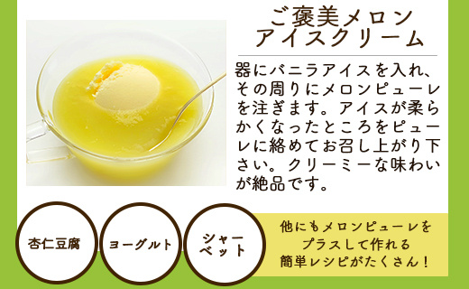 マスクメロン ピューレ 計720ｇ