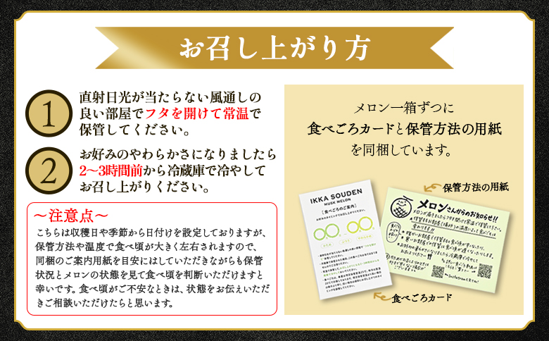 【2玉】メロン マスクメロン2玉入り2.4kg～3.6kg 【株式会社篤農（高知県香南市）】[tn-0012] 通常配送 2玉【贈答用】