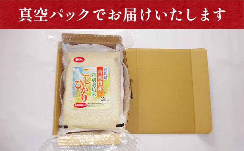 【3回定期便】令和7年産 高知県香南市産 特別栽培米 コシヒカリ 2kg Wnu-0011
