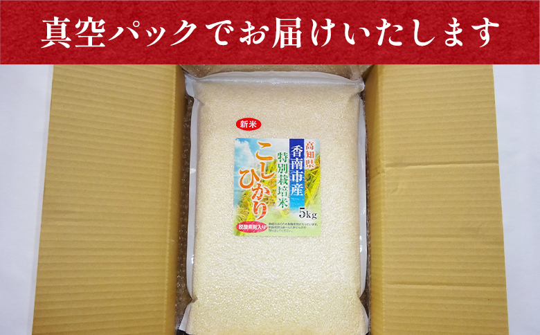 【3回定期便】令和7年産 高知県香南市産 特別栽培米 コシヒカリ 5kg Wnu-0012
