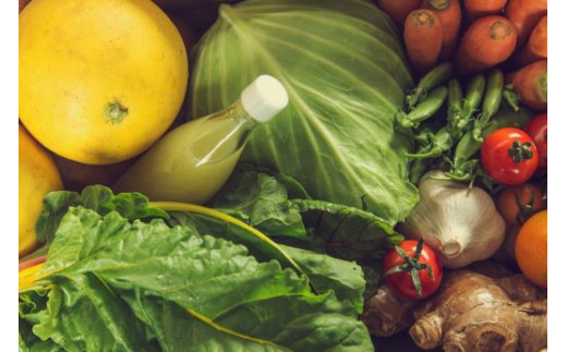 定期便2回コース 高知県香南市産 旬のお野菜詰合せ(10～13品目) Wpr-0018