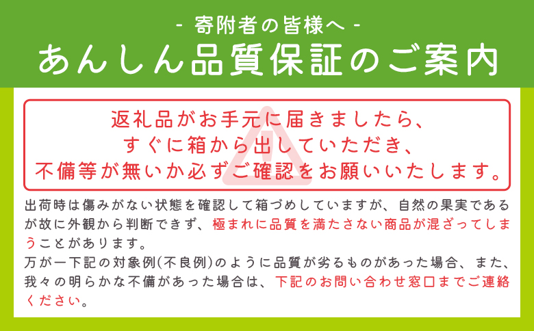 【３回定期便】一果相伝マスクメロン 1玉入り Wtn-0040 3回定期便 1玉【贈答用】