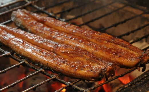 うなぎ 定期便 3回 うなぎ蒲焼き120g 3尾(無頭) 魚介 国産 海鮮 魚 かばやき 鰻 ウナギ 惣菜 おかず お手軽 加工品 加工食品 冷凍 Wun-0028