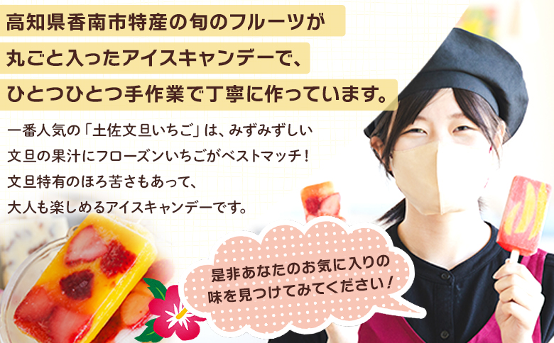 【２回定期便】手作りアイスキャンディー １２本セット Wys-0017