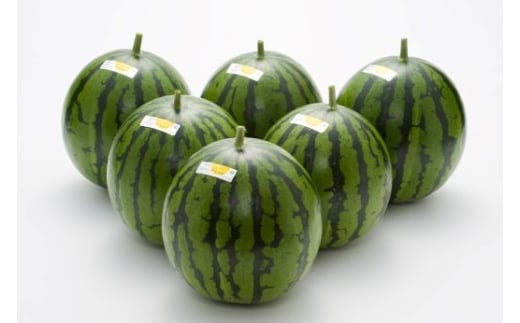 【２回定期便】ルナ・ピエナスイカ(大玉) 1玉 Wyu-0069 1玉【2回定期便】 大玉