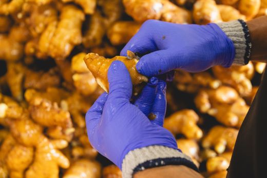 生姜 20kg 香南市産 別役の生姜 bc-0024