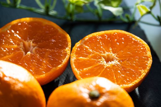 【2026年11月より順次配送】訳あり(家庭用) サイズお任せ 早生みかん 10kg 3S～Mサイズ be-0122