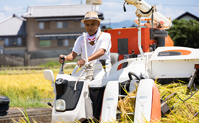 新米 令和7年産 コシヒカリ 約5kg - 国産 高知県産 精米 白米 db-0039