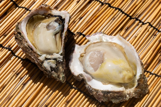 【先行受付】バーベキューセット(伊勢海老・岩ガキ) 2〜3人前 冷凍＜出荷期間：2026年5月～10月＞ 国産 海鮮 魚介 カキ かき えび エビ 牡蠣 貝類 殻つき 天然 産地直送 肉厚 BBQ アウトドア フライ 刺身 味噌汁 海の幸 えび蔵 高知県 香南市 冷凍 eb-0036