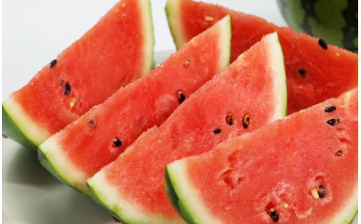 【期間限定】江本農園の2月真冬アンテナスイカ 1玉 - 果物 フルーツ すいか 西瓜 のし 数量限定 おやつ デザート em-0016