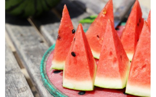 【期間限定】江本農園の2月真冬アンテナスイカ2玉 - 数量限定 果物 くだもの フルーツ すいか 西瓜 のし 熨斗 甘い あまい デザート 美味しい おいしい おやつ 瑞々しい 香南市 em-0021