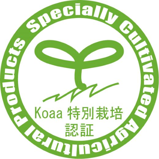 【特別栽培みかん】【2026年10月以降順次配送分】ふじ農園の露地みかん 贈答用 2.5kg (2S～M) - みかん 温州みかん 国産 蜜柑 ミカン 柑橘 果物 フルーツ 贈答 プレゼント ギフト 贈り物 ふじ農園 高知県 香南市 常温 fn-0009 贈答用 2.5kg (2S～M)