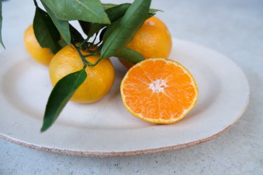 【2026年10月以降順次配送分】ふじ農園の露地みかん 贈答用 10kg (2S～M) - 国産 蜜柑 ミカン 柑橘 果物 フルーツ 贈答 プレゼント ギフト 贈り物 ふじ農園 高知県 香南市 常温 fn-0011 贈答用 10kg (2S?M)