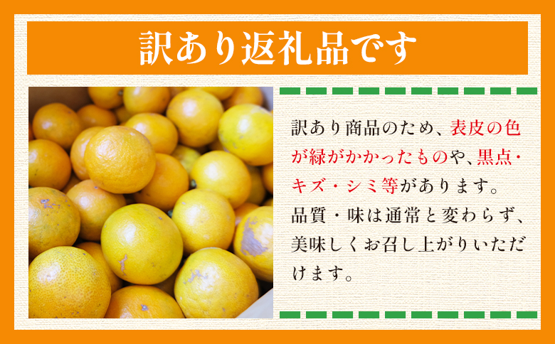 【2026年10月以降順次配送分】ふじ農園の露地みかん 訳あり品 5kg (2S～M) - 国産 蜜柑 ミカン 柑橘 果物 フルーツ 訳アリ ご家庭用 家庭用 自宅用 ふじ農園 高知県 香南市 常温 fn-0013 訳あり 5kg (2S?M)