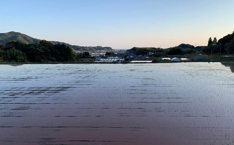 コシヒカリ 計１０kg ga-0007