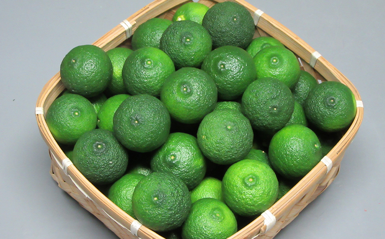 虎弥太郎 はなゆ青玉 16パック hy-0002