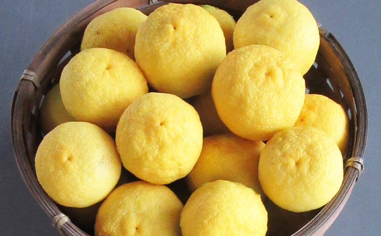 【2026年11月以降順次配送】虎弥太郎 はなゆ黄玉 ８パック hy-0003