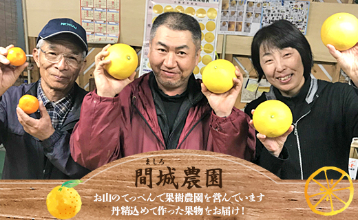 訳あり 土佐文旦 約10kg (家庭用)(2L～4Lサイズ) - 高知産 柑橘 フルーツ 文旦 ぶんたん ブンタン ザボン 果物 ms-0080 家庭用 約10kg