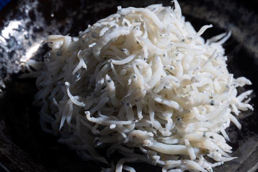 【冷蔵】釜出ししらす(ちりめん) 約1kg mu-0010