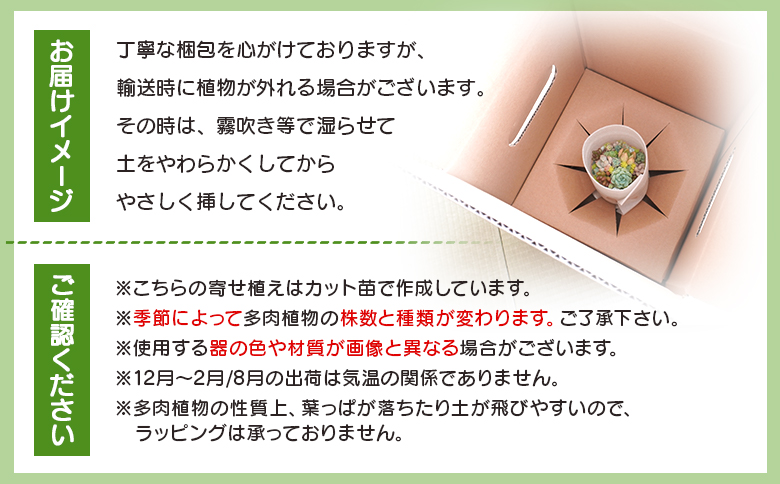多肉植物 多肉 寄せ植え 1個 - 鉢植え インテリア ガーデニング おしゃれ グリーン プレゼント 観葉植物 多肉 植物 寄せ植え かわいい お楽しみ 自然 PUKUTTO 高知県 香南市 pk-0004