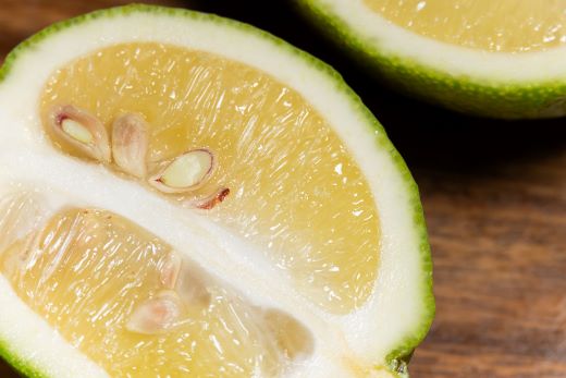 レモン 1kg - 香南市産 国産 檸檬 れもん 果物 くだもの フルーツ 野菜 柑橘 果汁 料理 アレンジ はちみつレモンパウンドケーキ 高知県 香南市 常温 冷蔵 sj-0008 約1kg