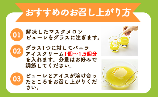 ピューレ メロンピューレ バニラアイスクリーム 3個セット 青肉 アイス 「めざましどようび キクエがキクヨ！」で特集 JALファーストクラス機内食に採用 マスクメロンピューレと高知のバニラアイス - 果物 くだもの めろん 果実 果汁 tn-0028