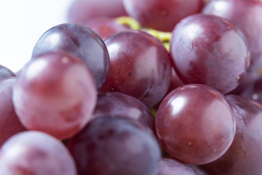 ぶどう 藤稔 6P yr-0100