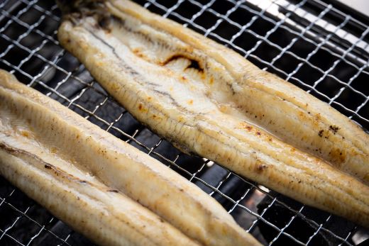 吉川水産 高知県産うなぎの白焼き 小サイズ(100～120g)×2尾 タレ付き yw-0043 2尾 100～120g
