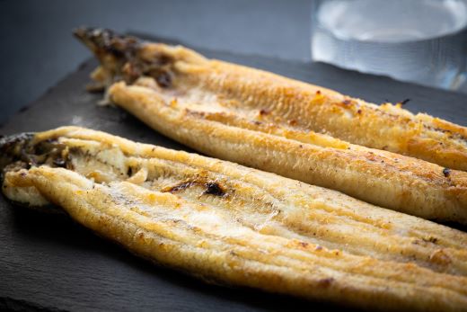 吉川水産 高知県産うなぎの白焼 中サイズ(120～140g)×5尾 タレ付き 自宅用エコ包装 yw-0047