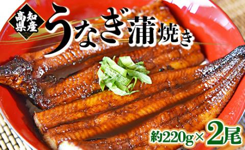 国産養殖うなぎ蒲焼き 2尾（合計約440g）高知県産鰻 - 鰻 ウナギ かば