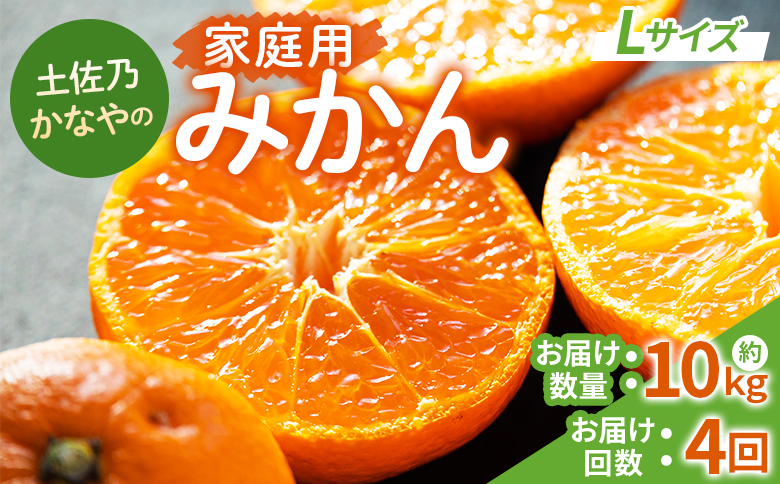 【みかん定期便 4回】土佐乃かなやの家庭用みかん10kg(Lサイズ)×4回 合計40kg Wbe-0124