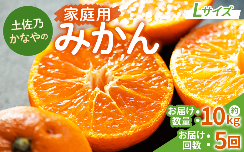 【みかん定期便 5回】土佐乃かなやの家庭用みかん10kg(Lサイズ)×5回 合計50kg Wbe-0126