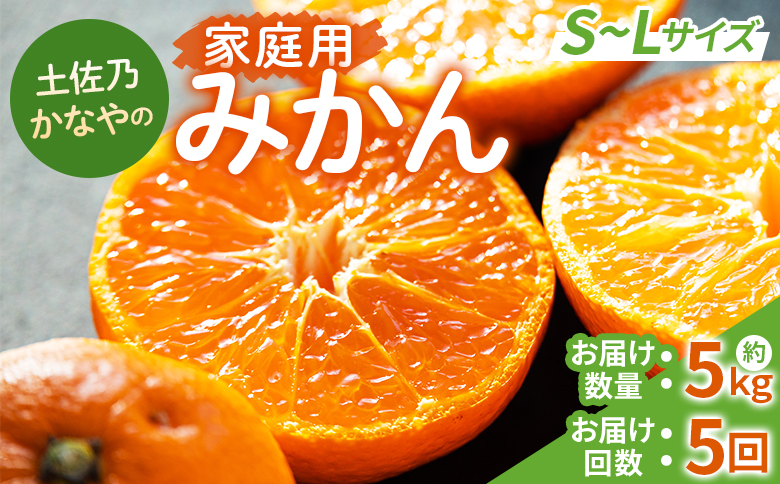 【みかん定期便 5回】土佐乃かなやのみかん5kg(S～Lサイズ)×5回 合計25kg Wbe-0128