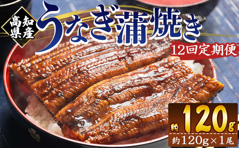 【１２回定期便】高知県産養殖うなぎ蒲焼き 100～120g 1尾 Wfb-0036 1尾【12回定期便】 100～120g
