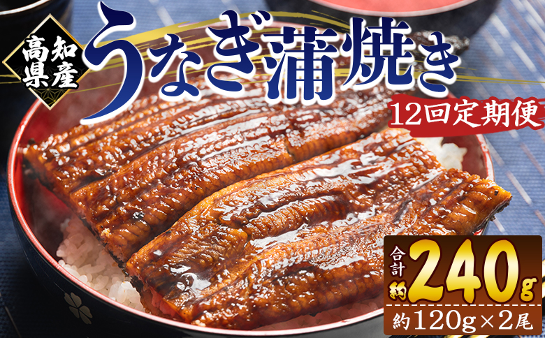 【１２回定期便】高知県産養殖うなぎ蒲焼き 100～120g 2尾 Wfb-0040 2尾【12回定期便】 100～120g